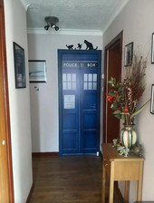 Doctor Who Tardis Wall Door