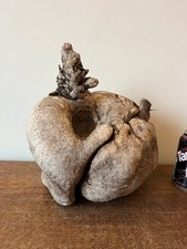 Driftwood Piece root bole sculpture.  for  vivarium, or woodturning.. rare