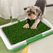 Puppy Dog Pee Toilet Training