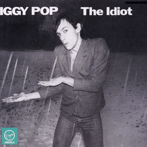 Iggy pop the - pop, idiot