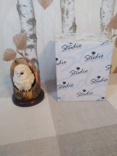Border fine arts tawny owlet - border,