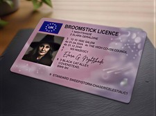 Witch's Broomstick Licence -