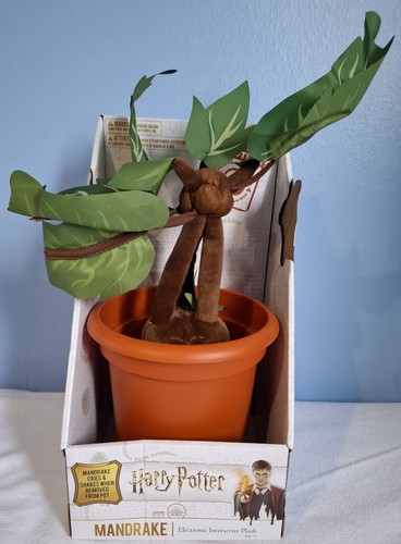 Harry potter mandrake - potter,
