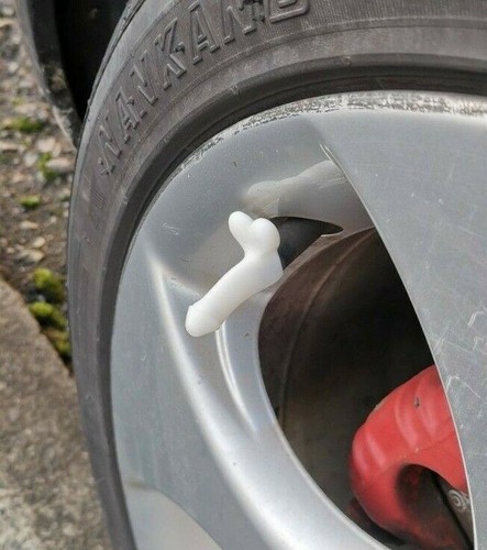Novelty car bike tyre willy - novelty,