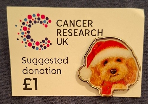 Cancer research pin - research, x1