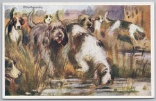 OTTERHOUNDS Postcard by Geographia