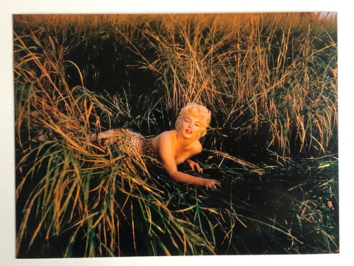 Marilyn monroe leopard - marilyn,