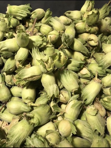 Cob nuts organic - organic,