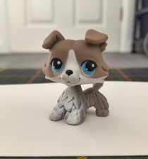 Authentic Littlest Pet Shop
