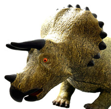 Large triceratops dinosaur toy - large,