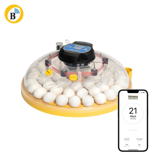 Brinsea maxi connect - 48,