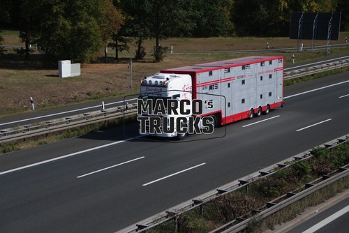 Truck photo scania - photo, cattle