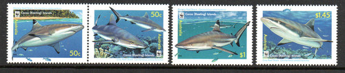 Cocos 2005 reef - cocos, (keeling)