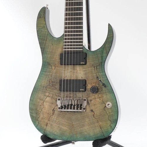 Ibanez used iron label - ibanez,