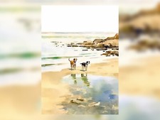 Footprints in the Sand: Dogs