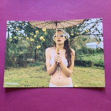 Fabris Lane Sunglasses Fashion