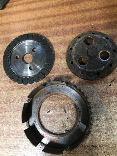 Norton late spring - late, clutch