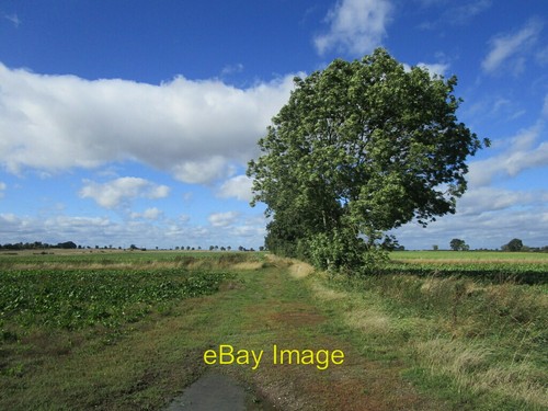 Farm track off plot lane - track,