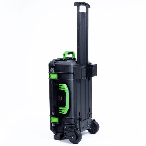 Black and lime - green, pelican