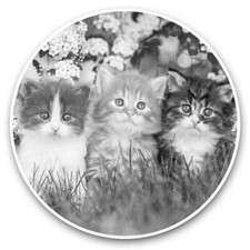 2 x Vinyl Stickers 10cm (bw) -