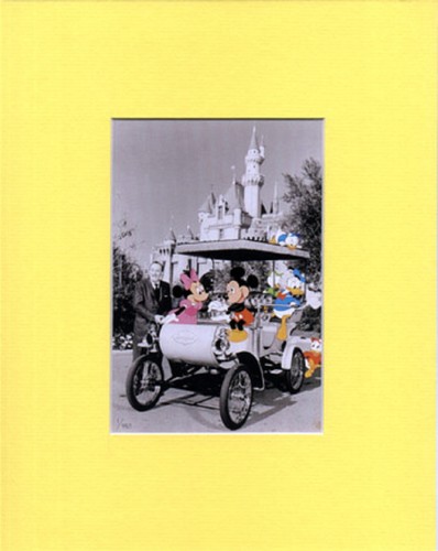 Mickey minnie mouse walt - mickey,
