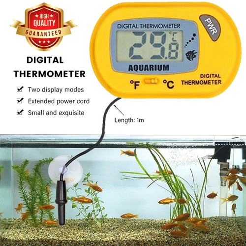 Lcd digital aquarium - digital,