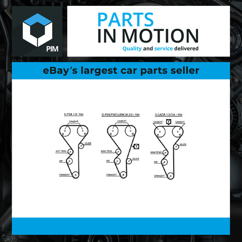 Timing belt fits citroen - timing,