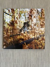 Billy Woods - Golliwog Vinyl