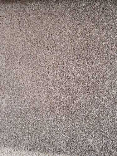 Carpet home clearance - carpet,