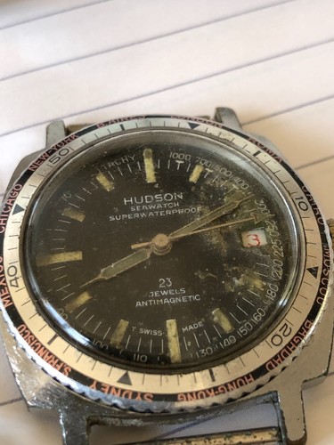 Hudson seawatch jewels - 23,