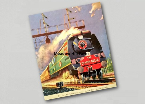 Fridge magnet southern railway - fridge,