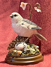 Rare Country Artists Arctic