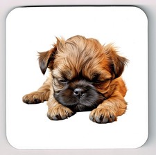 Sleeping Laying Down Brussels