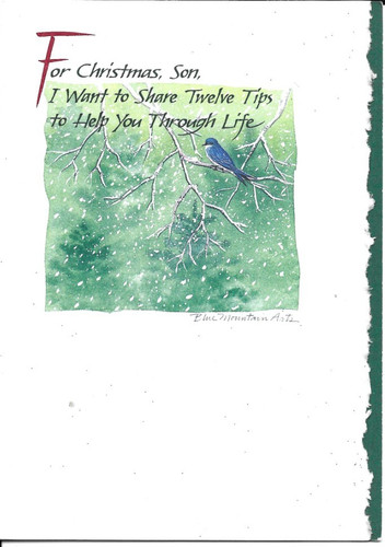 Son christmas card blue - son,