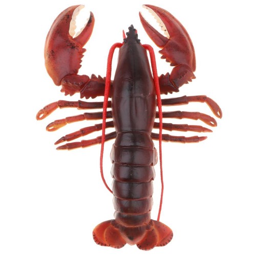 Magideal red lobster model - lobster,