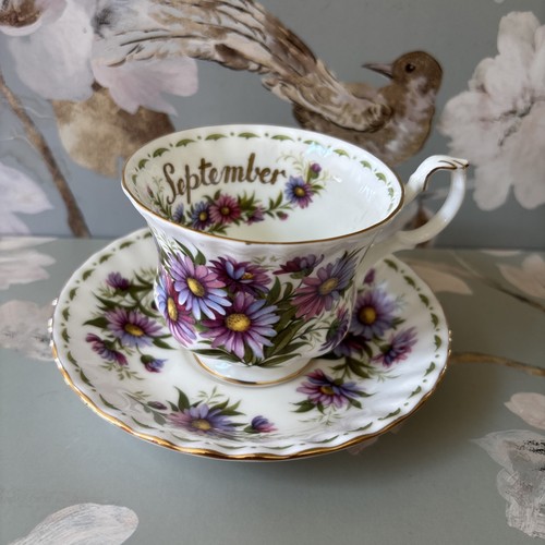 Royal albert flower - royal,