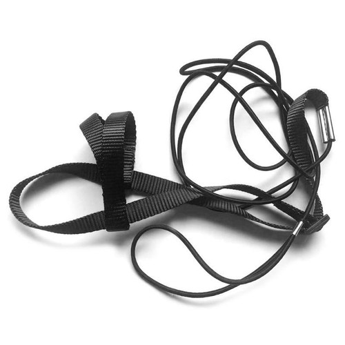 Parrot bird harness leash - parrot,