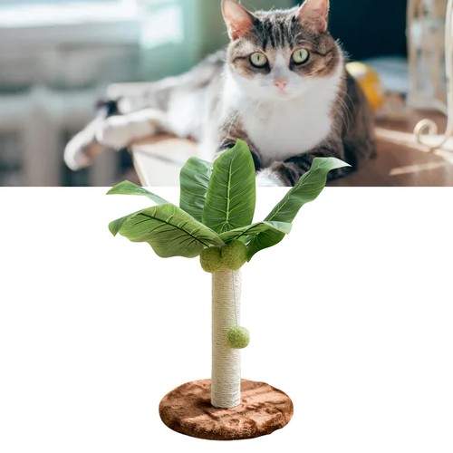Cat scratching post 6in - 　cat, 12.6in