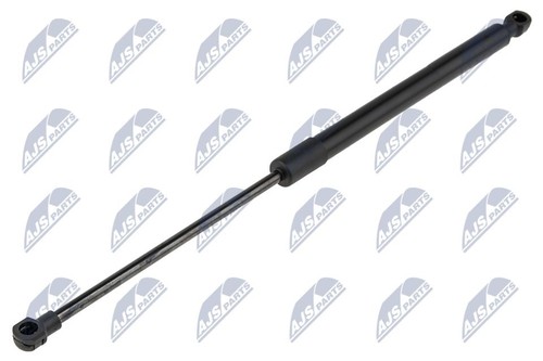 Both sides aety025 gas spring - sides,