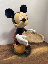 Disney Mickey Mouse garden