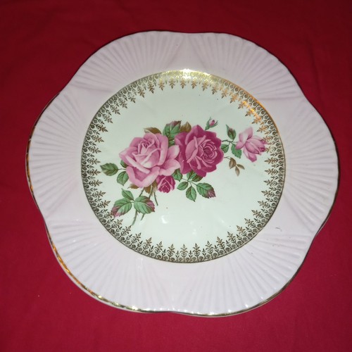 Shelley regency bone - bone, china