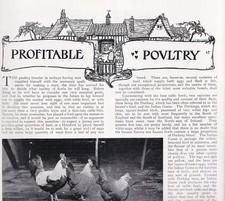 PROFITABLE POULTRY FOR THE