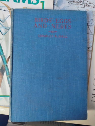 Birds eggs and nests - birds,