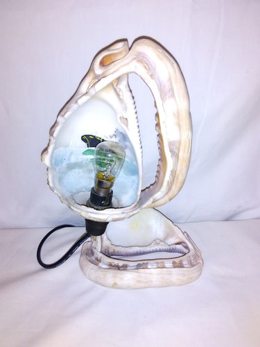 Vintage retro conch shell - shell, lamp