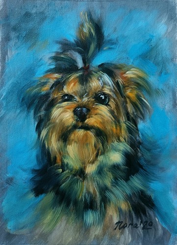 Original cute yorkshire - original,