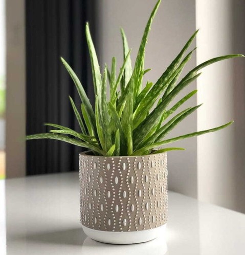 Flower pot home decor gift - home,