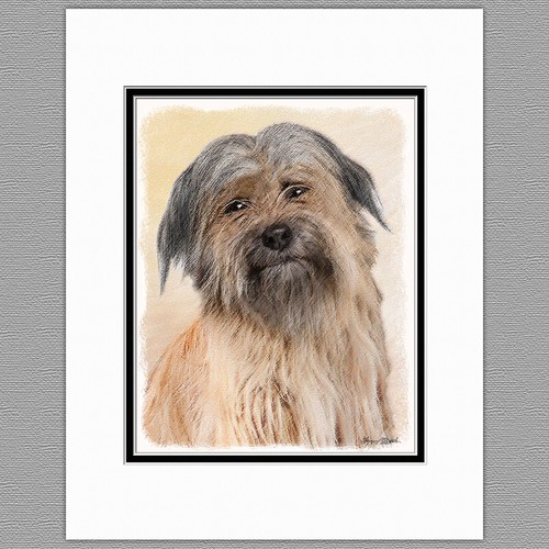 Pyrenean shepherd dog original - dog,