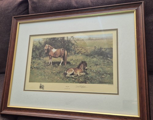 David shepherd shelties signed - david,