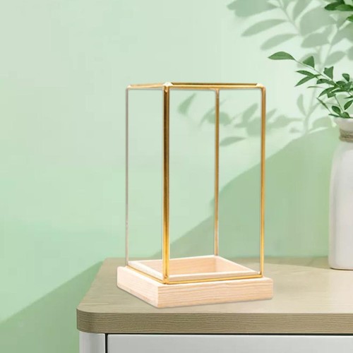 Solid glass display - solid, case