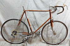 1975 Raleigh Super Course
